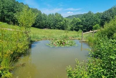 Casă cu Teren 30000 Mp în Central - 2