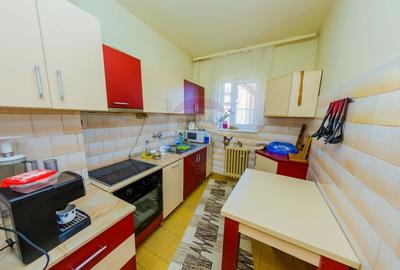 Casă cu 7 camere cu Teren 515 Mp în Valea Roșie - 5