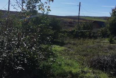 Casă cu Teren 1550 Mp în Somova - 1