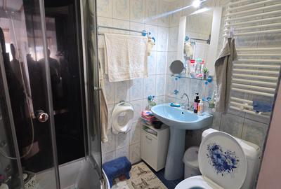 Utvin-Central-Vila S+P+E+M-360mp-2 accese-Garaj - 14