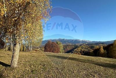 Oportunitate de investiție ! Teren de vis în Pestera - 125.370 mp - 1