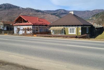 Teren de 6710 mp, în Stejaru (Pângărați) - 2