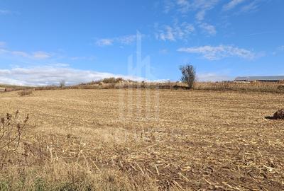 Teren agricol extravilan de 9300 mp, în Șura Mare - 1