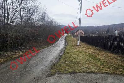 Teren de 5296 mp, în Hoghiz - 2