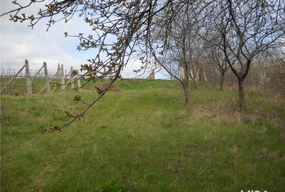 Teren de 6000 mp, în Frumoasa - 1