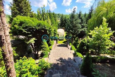 Royal Imobiliare -vanzare vila/ casa de vacanta zona CAMPINA - 10