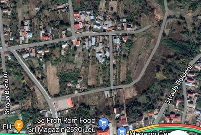 Vand 2248 mp (teren intravilan+ casa), Leu , jud Dolj livada pomi - 1