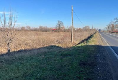 Teren intravilan, Sacadat, 27 921 mp. 9,5 Euro/mp. Comi... - 22