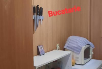 Apartament cu 2 camere semidecomandat în Cișmigiu - 10