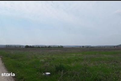 Teren de 12500 mp, în Coțofenii din Față - 2