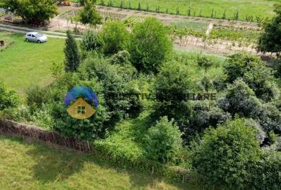 Teren intravilan com. Alexandru cel Bun- Viisoara - 8