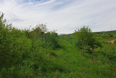 Teren In Zona Borhanci - 2