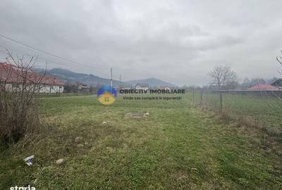 Teren de 1200 mp, în Alexandru cel Bun - 7