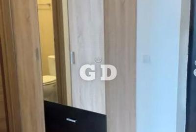 Garsonieră decomandată, mobilată în Turnișor - 9