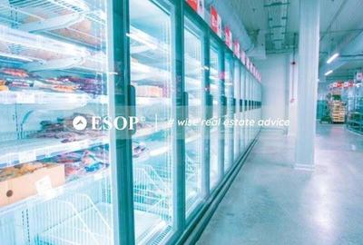 Spațiu comercial, de 2,200 mp, în Chitila - 1