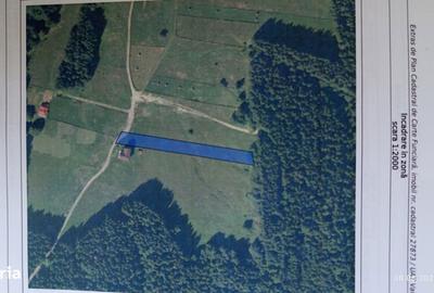 Teren de 2500 mp, în Valea Doftanei - 2