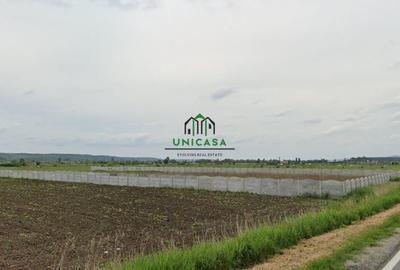 Teren Construcții intravilan de 2500 mp, în Mihăești - 3