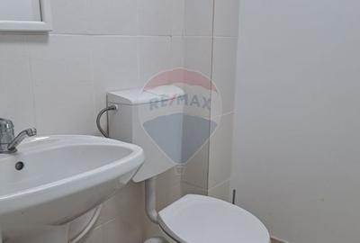 Spatiu comercial stradal, Brazda, 65 mp - 9