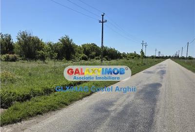 Vindem 12 ha teren intravilan curti-constructii in Teiu - Ar - 3