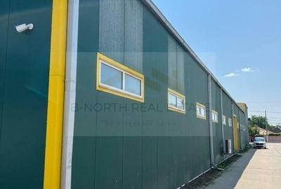 OTOPENI ODAILE HALA Productie si depozitare 1000 MP - 2