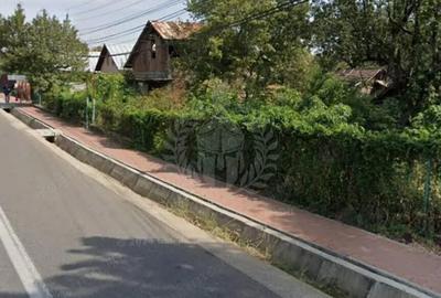 Teren de 12000 mp, în Păulești - 3