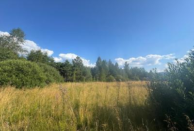 12700 mp investitie rezidentiala- turistica- medicala Tinovul Mic/Șaru Dornei - 7