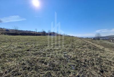 Teren Construcții intravilan de 439 mp, în Hamba - 1