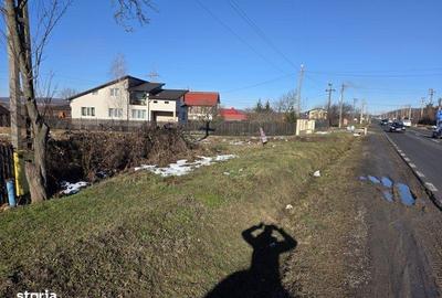 Teren de 5000 mp, în Răzvad - 6