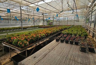 Spațiu comercial, de 400 mp, în Otopeni - 5