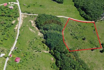 Teren agricol intravilan de 55600 mp, în Codru Butesii - 6