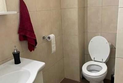 Apartament cu 2 camere decomandat în Jiului - 5