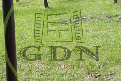 Teren extravilan  de vanzare | 4288 mp | in Gusterita - 6