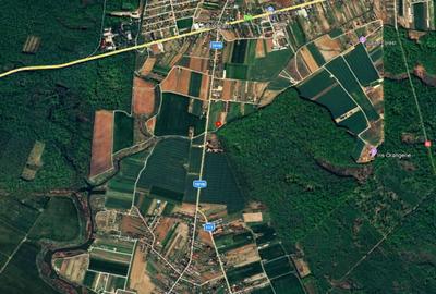 TEREN 500mp | langa Padurea Snagov | IZVORANI | LOCATIE DE VIS - 4