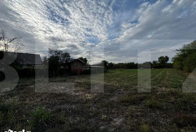 Casă cu 4 camere cu Teren 3892 Mp în Central - 1