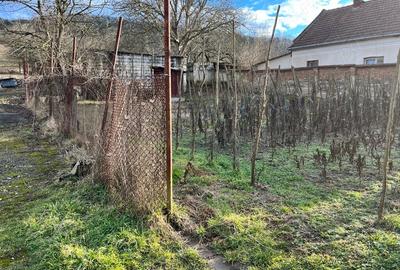 Teren de 8000 mp, în Simeria Veche - 1