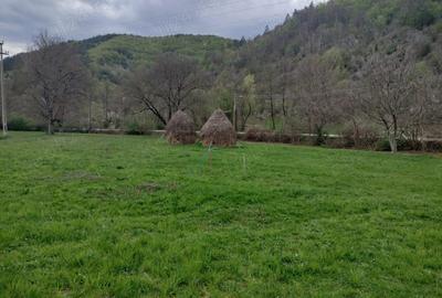 Teren de 2286 mp, în Vața de Sus - 8