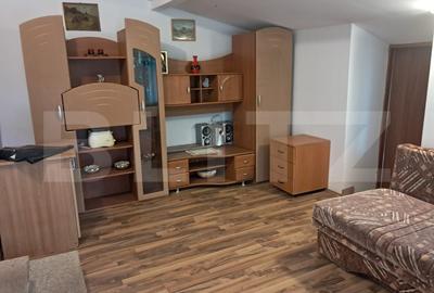 Cabana de vanzare cu teren generos in Belis Cabana de vanzare cu teren generos in Belis - 12