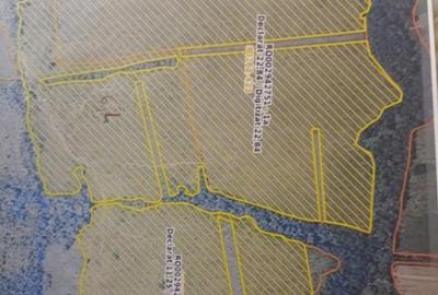 Teren de 420000 mp, în Orăștie - 1