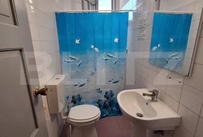 Vila mare, curte, 11 camere, 5 bai, mobilata, Cetatii/Timisoara - 11