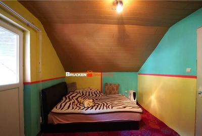 LOCUINTA TA DE VIS IN PADUREA NEAGRA - 28