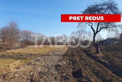 Teren intravilan 3600 mp doua fronturi stradale in Voila - 1