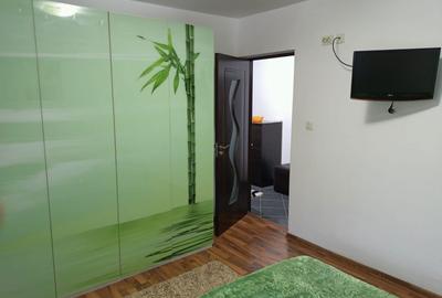 Apartament cu 2 camere semidecomandat în Valea Lupului - 3