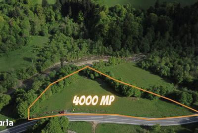 Teren de 4000 mp, în Babarunca - 1