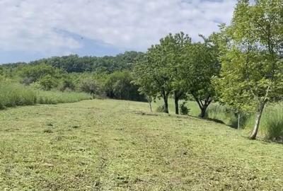 Spațiu comercial, în Central - 5