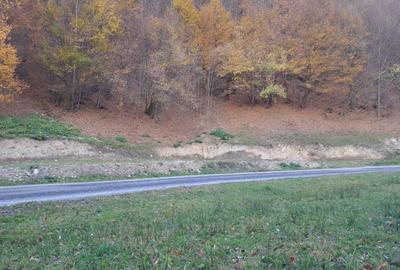 Teren de 9310 mp, în Poiana Mărului - 5