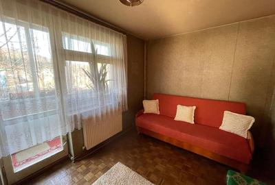 Apartament cu 2 camere în Brebina - 6