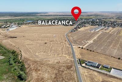 Oportunitate de afacere intre Balaceanca si Glina- Teren de vanzare. - 3