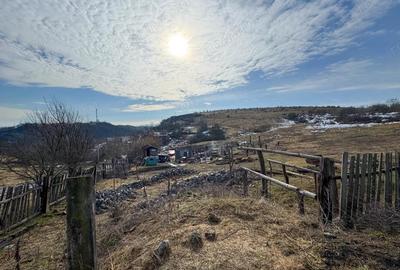 Teren de 28381 mp, în Central - 1