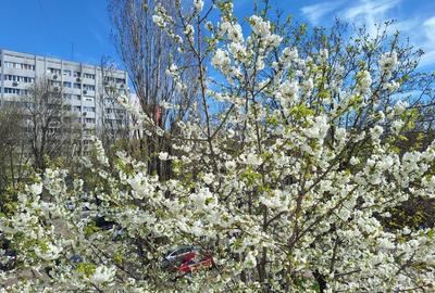 Apartament cu 2 camere semidecomandat, mobilat în Pajura - 7