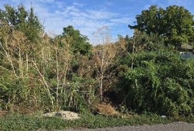 Teren de 353 mp, în Ștefăneștii de Jos - 7